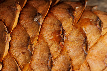 Pine cone peel texture with drops of resin on a gray wooden background. Cedar cone close-up