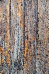 Close up texture  wooden plank
