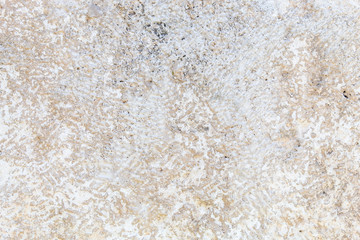 Old Weathered Light Natural Stone Texture