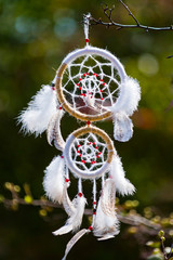 Tibetan mandala knitting with thread on the branches of a green tree.