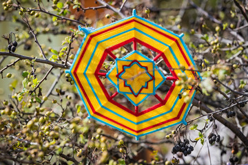 Tibetan mandala knitting with thread on the branches of a green tree.
