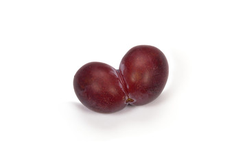 Plum on white background.