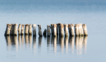 wooden posts in calm lake water in the afternoon autumn background