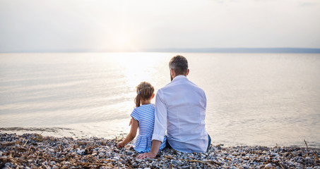 Rear view of father and small daughter on a holiday sitting by the lake.