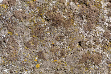 Old Weathered Natural Stone Texture