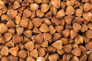 Macro Photo food buckwheat groats. Texture background grain buckwheat groats. Image food product porridge buckwheat grains