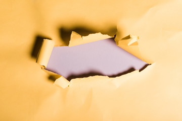 tattered orange paper with rolled edge on purple