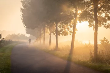 Poster Im Rahmen Radfahrer im Nebel auf dem Treidelpfad entlang der Leie in Lauwe - Menen, Belgien. Nach einer kalten und klaren Nacht bekommen wir oft eine Nebelschicht über den Feldern. Dadurch entstehen schöne stimmungsvolle Bilder der © krist
