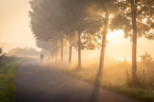 Cyclist in the fog on the towpath along the Lys in Lauwe - Menen, Belgium. After a cold and clear night we often get a layer of fog over the fields. This creates beautiful atmospheric pictures of the