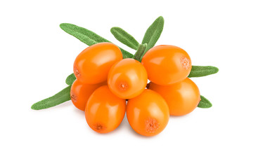 Sea buckthorn. Fresh ripe berry with leaves isolated on white background macro © kolesnikovserg