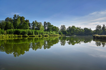 Calm lake surface.