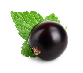 One black currant with leaf isolated on white background