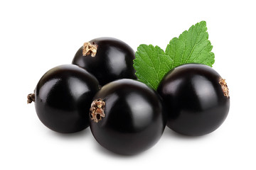 Four black currant with leaf isolated on white background