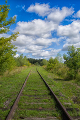 beautiful green railway