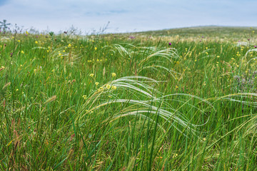Crimea steppe- landscape park. Kerch peninsula