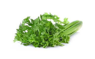 Celery isolated on white background