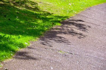 A Footpath at a park