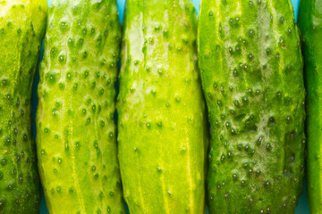 Flat lay composition with cucumbers