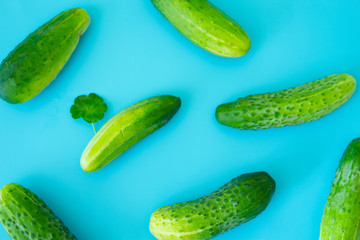 Flat lay composition with cucumbers