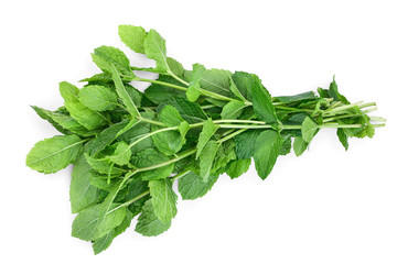 fresh mint leaves isolated on white background
