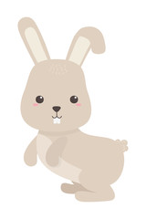 Isolated rabbit cartoon vector design