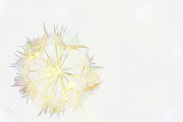 golden snowflake on white background