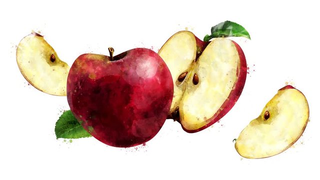 Watercolor appearance animation of the red apple on the alpha channel.