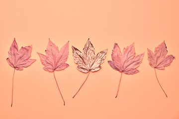 Autumn fall Background. Maple Leaf set on coral Color. Fashion pink mood. Creative minimal art Flat lay. Design Art concept, Fun sweet style. Pastel autumnal color, shopping sale concept