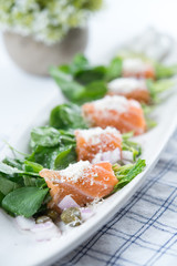 Raw salmon sashimi roll wrap with vegetable