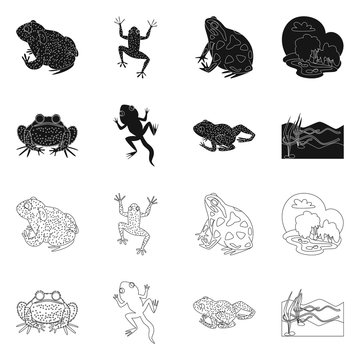Vector illustration of wildlife and bog icon. Set of wildlife and reptile stock symbol for web.
