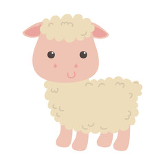 Isolated sheep cartoon vector design