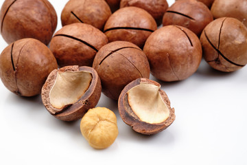 macadamia nuts isolated on white background