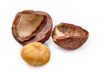 Shelled and unshelled macadamia nuts on white background