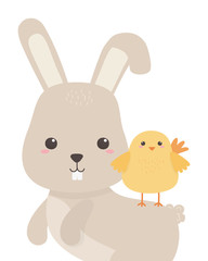 Rabbit and chicken cartoon vector design