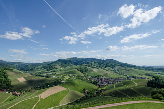 wundersch&ouml;ne Landschaft in den Weinbergen bei dem Schlo&szlig; Staufenberg in Durbach