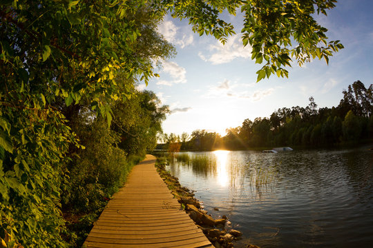 Wooden trail in park