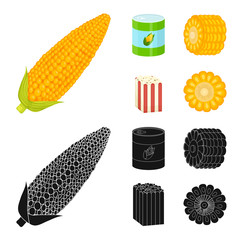 Isolated object of cornfield and vegetable symbol. Set of cornfield and vegetarian vector icon for stock.