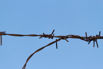 Barbed wire on fence