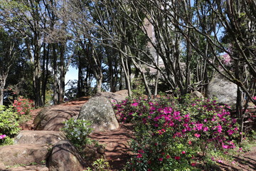 The beautiful landscaping found at Square Província de Shiga  in Porto Alegre, Brazil.