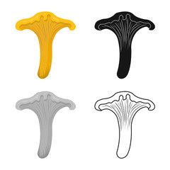 Vector design of mushroom and chanterelle logo. Collection of mushroom and autumn vector icon for stock.