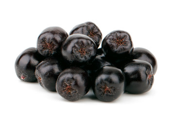 Aronia melanocarpa (black chokeberry) isolated on white background