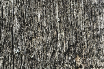 old peeling paint. wood texture. the background