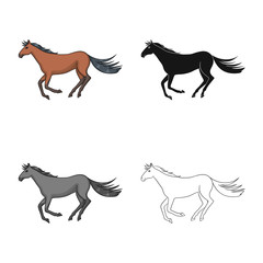 Vector design of horse and hippodrome icon. Set of horse and jumping stock vector illustration.