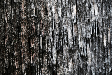 old peeling paint. wood texture. the background