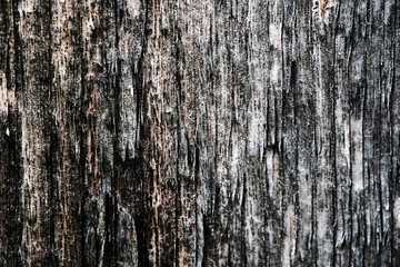old peeling paint. wood texture. the background