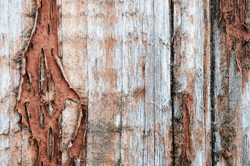old peeling paint. wood texture. the background