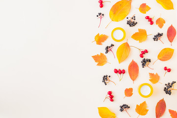 Flat lay border with colorful autumn leaves and berries on a white background