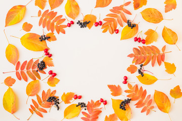 Obraz na płótnie Canvas Flat lay frame with colorful autumn leaves and berries on a white background