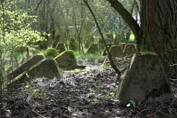 betonowe zapory przeciwczołgowe pozostałości po II wojnie światowej © qrrr