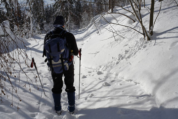 zimowe wędrówki piesze na górskim szlaku
